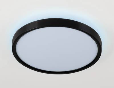 Потолочный светодиодный светильник FZ3050 BK черный IP44 24W+10W 6400+6400К D290*40 (Без ПДУ)