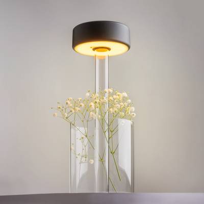 Аккумуляторный светильник AI Collaboration 2200-4000К 3Вт, MOD229TL-L3B3K1. TM Maytoni