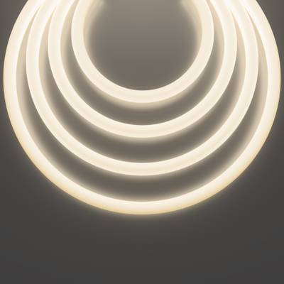 Гибкий неон Nemo D25 48В 12,5Вт/м 4000К IP65 20м 433002. TM Maytoni