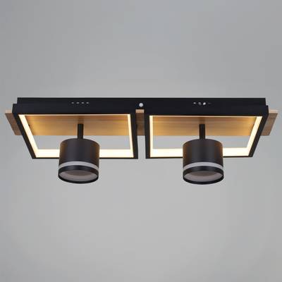 19560-0.3-2+2 BK+WOOD светильник потолочный
