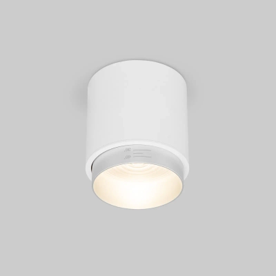 Накладной светодиодный светильник Cors 25032/LED 10W 4200K белый/серебро