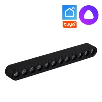 13002-9.3-001UR magnetic LED12W BK CCT+SMART Reluce Technical, LED