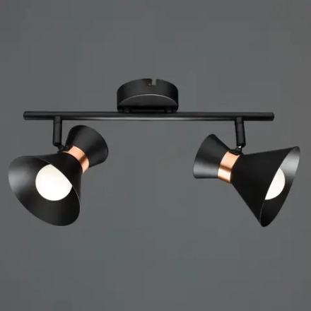Спот Arte Lamp BALTIMORE A1406AP-2BK, 2хE14