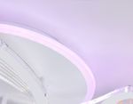 Светильник потолочный светодиодный с пультом FA4475/3 WH белый 66W 3000K+BL/4200K+PU/3000K+6400K D560*75 (ПДУ ИК)