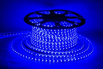 5050-60-220V BL светодиодная лента 60LED/м, 220V