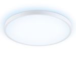 Потолочный светодиодный светильник FZ3005 WH белый IP44 33W+10W 6400+6400К D375*40 (Без ПДУ)
