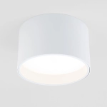 Светильник потолочный светодиодный Banti 13W 3000K белый 25123/LED