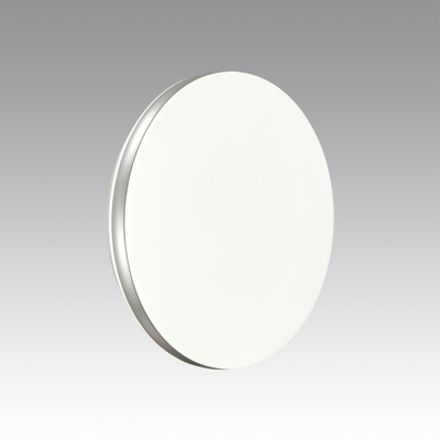 7625/AL PALE SN 216 Светильник пластик/белый/серебристый LED 12Вт 4000К D290 IP43 RINGO