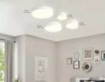 Светильник светодиодный потолочный FV5519 WH белый LED 26W 3000K D220*58 (Без ПДУ)