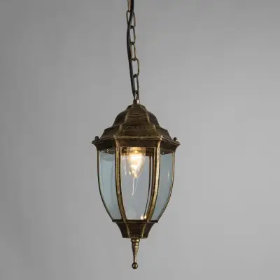 Уличный подвесной светильник Arte Lamp PEGASUS A3151SO-1BN, 1хE27