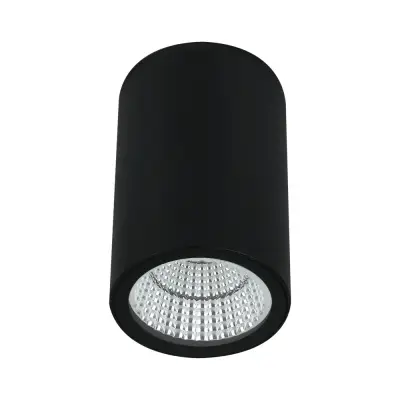 Уличный потолочный светильник Arte Lamp TORCULAR A1807PF-1BK, 1хLED