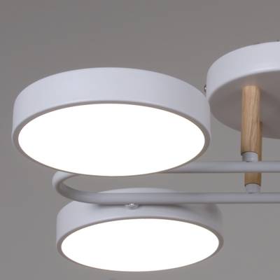 03322-0.3-08 WH+WOOD светильник потолочный