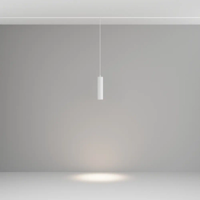 Трековый подвесной светильник Фокус / Focus Led Exility 2700-6000K 12Вт 36° Dim Dali1, TR041-4-12WTW-DD-W. TM Maytoni