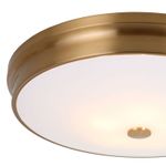 Потолочный светильник Pannikin 2375-5C. ТМ Favourite