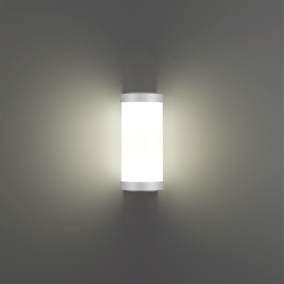 359299 STREET NT24 000 белый Светильник ландшафтный настенный IP65 LED 6W 4000K 180-265V OPAL