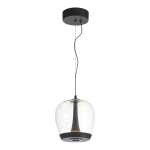SL6014.423.01 Светильник подвесной ST-Luce Черный/Прозрачный, Черный LED 1*17W 3000K
