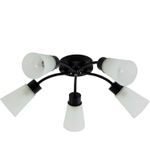 01348-0.3-05 BK+CR светильник потолочный