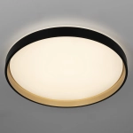 Citilux ENZO CL753511G LED RGB Светильник с пультом Черный + Золото