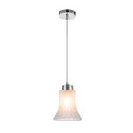 Подвесной светильник Escada 10193/1S E27*40W Chrome/Matt