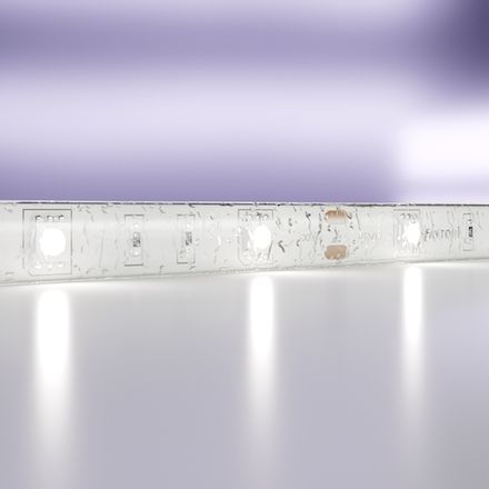 Светодиодная лента 12В 5050 7,2Вт/м 6000K 5м IP65, 10125. TM Maytoni