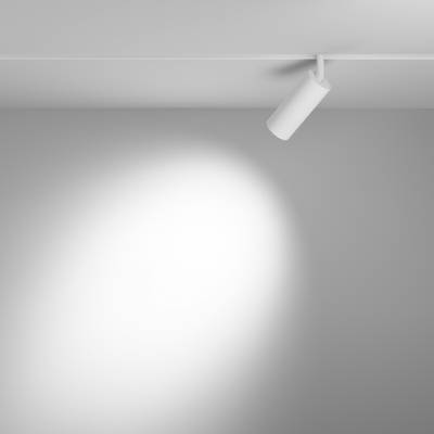 Трековый светильник Focus Led Exility 2700-6000K 12Вт 24° Dim Smart, TR032-4-12W3K-S-DS-W. TM Maytoni