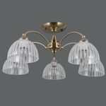 IL0564-5CSQ-25AB ELITE светильник потолочный