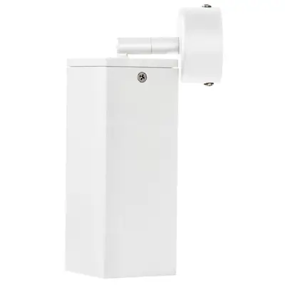 590206 Потолочное крепление RULLO для светильников 2163Х  БЕЛЫЙ Lightstar