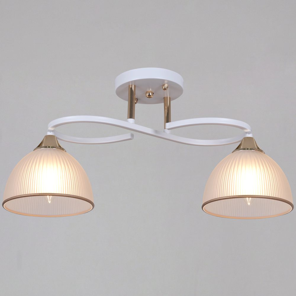 68560-0.3-02 WH+FG светильник потолочный