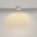 Потолочный светильник Зон / Zon 12 Вт 2700 К 120°, C032CL-12W2.7K-RD-W. TM Maytoni