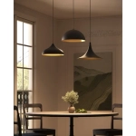 Подвесной светильник Arte Lamp CARMEL A7076SP-1BK, 1хE14