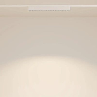 Трековый светильник Точки / Points Radity 3000K 16Вт 36°, TR082-1-18W3K-M-W. TM Maytoni