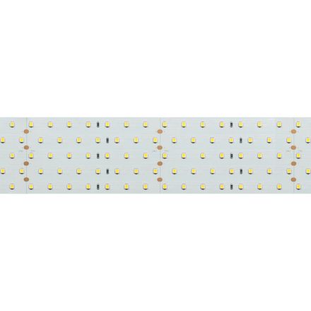 Лента RT 2-2500 24V Day4000 5x2 (2835, 875 LED, LUX) (Arlight, 36 Вт/м, IP20)