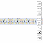 Светодиодная лента 24V 20W/m 4000К 5м Arte Lamp TAPE A2424015-02-4K, LED