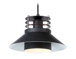 Подвесной светильник в стиле лофт TR8172 BK черный E27 max 40W D203*940