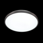 3012/DL TAN SN 000 Светильник пластик/черный LED 48Вт 3000-6300K D380 IP43 пульт ДУ/ LampSmart SMALLI