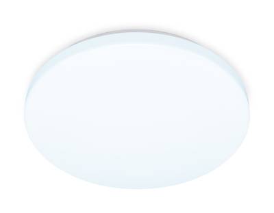 Потолочный светодиодный светильник FZ1009 WH белый 21W 6400K D320*55 (Без ПДУ)