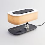 Citilux Ньютон CL803042 LED Настольная лампа Qi Bluetooth