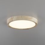 Citilux Бейсик CL738122N LED Светильник накладной Клён
