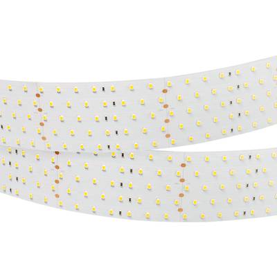 Лента RT 2-2500 24V Day4000 5x2 (2835, 875 LED, LUX) (Arlight, 36 Вт/м, IP20)