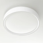 Citilux BOSS CL751250G LED RGB Светильник с пультом Белый
