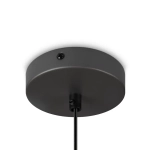 Подвесной светильник Moth FR5392PL-01GR1, E27х1. TM Maytoni