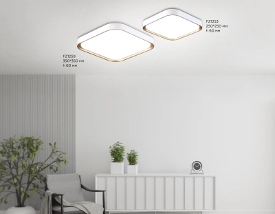 Потолочный светодиодный светильник FZ1253 WH/GD белый/золото 18W 5000K 250*250*60 (Без ПДУ)