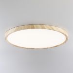 Citilux БейсикCL738322V LED Светильник накладной Клён