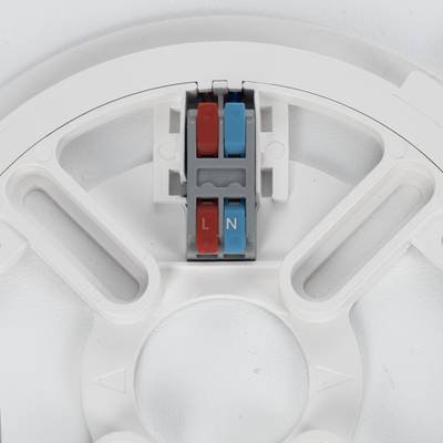 Citilux NORMA CL748320 LED Светильник с подсветкой Белый