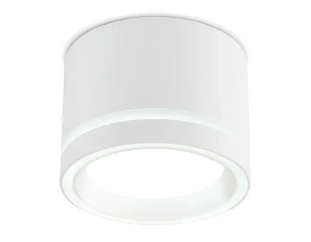 Светильник накладной TU5530 WH белый IP20 GX70 D120*87