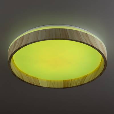 Citilux ENZO CL753352G LED RGB Светильник с пультом Клён