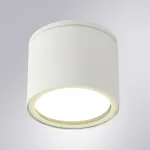 Уличный потолочный светильник Arte Lamp PIAUTOS A1913PF-1WH, 1хGX53