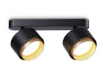 Светильник накладной TN71288/2 BK/GD черный/золото GX53/2 max 12W 270*95*137