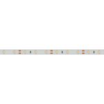 Светодиодная лента RTW 2-5000SE 12V Day (3528, 300 LED, LUX) (Arlight, 4.8 Вт/м, IP65)