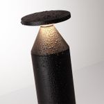 7119/12GL NATURE ODL25 Ландшафтный светильник  черный/металл IP65 LED 12W 670Лм 3000K 120° 220-240V COIL